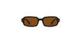 Spectle Sunglares ^ Color 02 (Black/Tea)